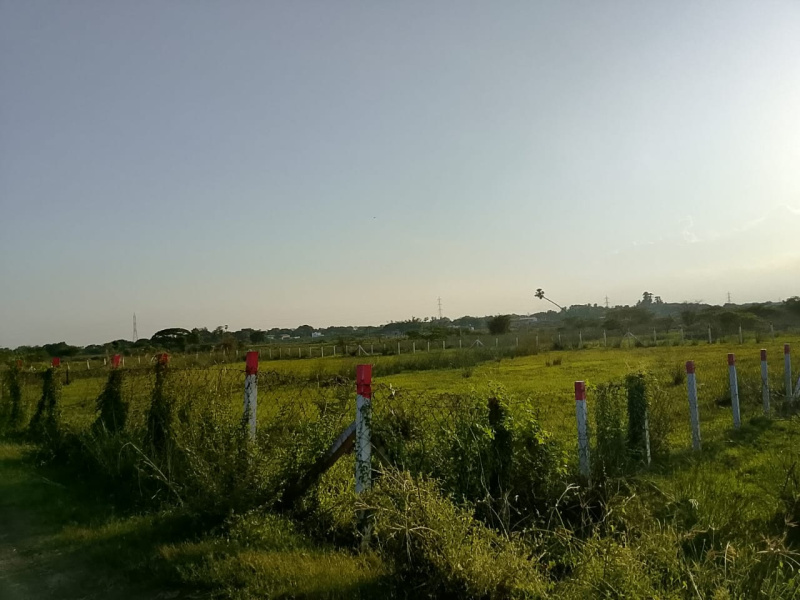  Residential Plot 4510 Sq.ft. for Sale in Karaikal, Pondicherry