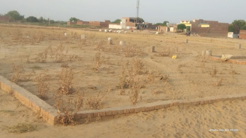  Residential Plot 1000 Sq.ft. for Sale in Jhalwa, Allahabad