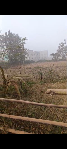  7000 Sq.ft. Residential Plot for Sale in Ranga Bazar, Bhubaneswar