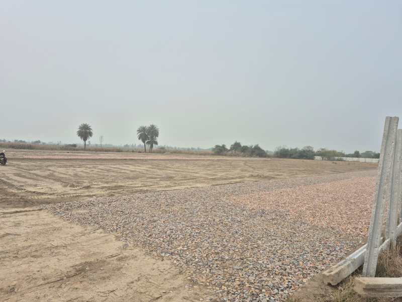  Residential Plot 100 Sq.ft. for Sale in Solra, Palwal