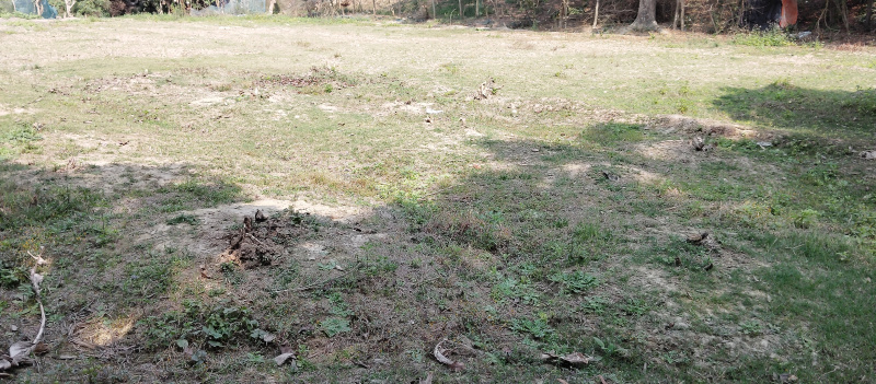  Agricultural Land 17424 Sq.ft. for Rent in Bagnan, Howrah