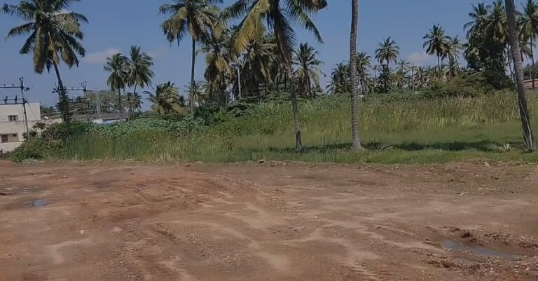  Residential Plot 4 Acre for Sale in Pollachi, Coimbatore