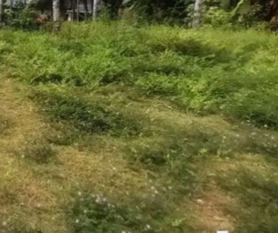  Residential Plot 9 Cent for Sale in Kothamangalam, Ernakulam