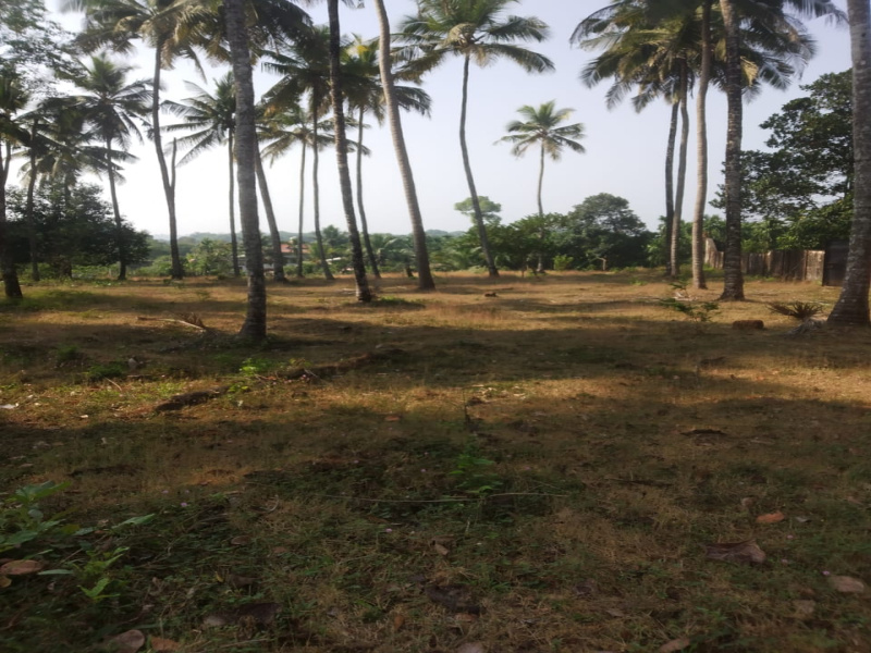  Residential Plot 1 Acre for Sale in Kundapura, Udupi