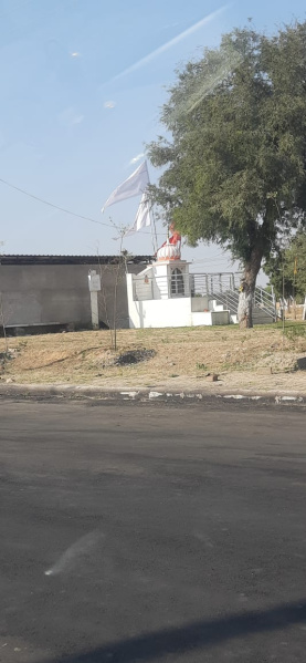  Residential Plot 100 Sq. Yards for Sale in Ajmer Road, Jaipur