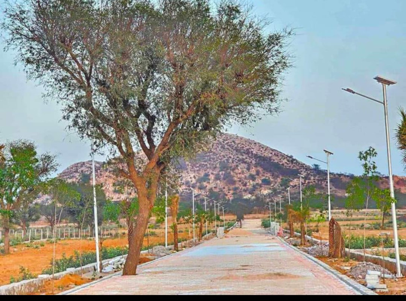 1 BHK Farm House 500 Sq. Yards for Sale in Diggi Road, Jaipur