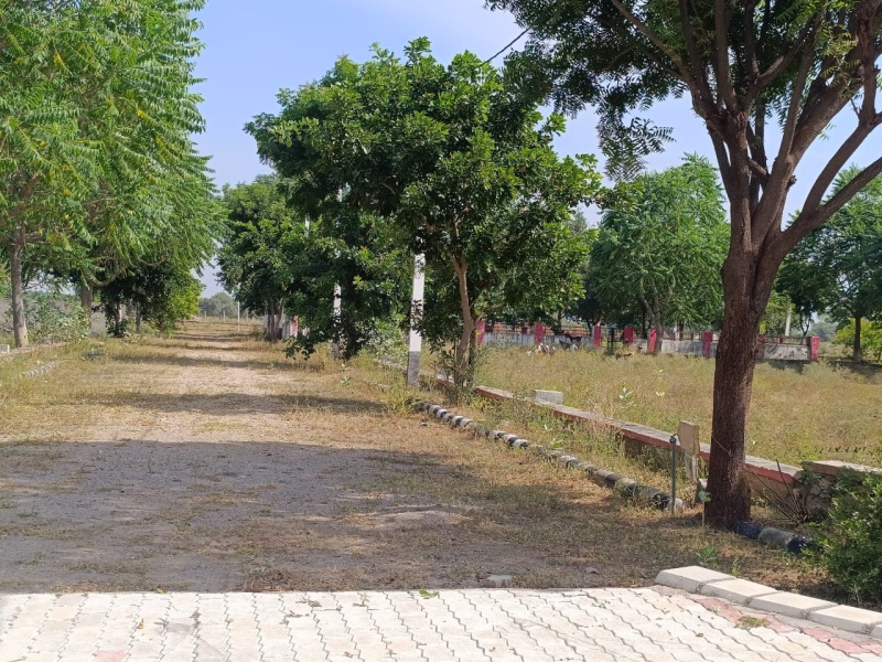  Residential Plot 200 Sq. Yards for Sale in Ajmer Road, Ajmer Road, Jaipur