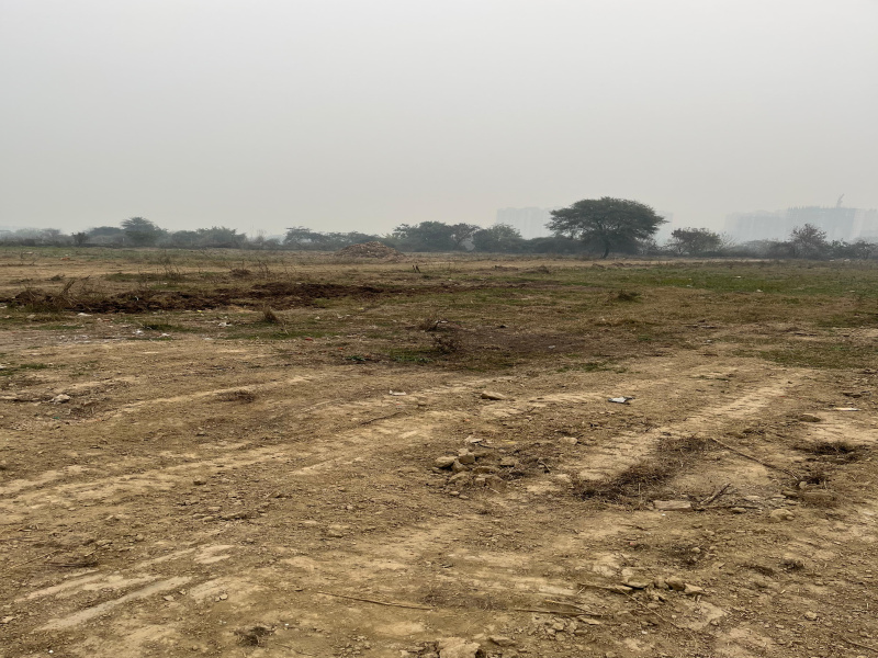  Residential Plot 100 Sq. Yards for Sale in Noida Expressway, Noida-Greater Noida Expressway