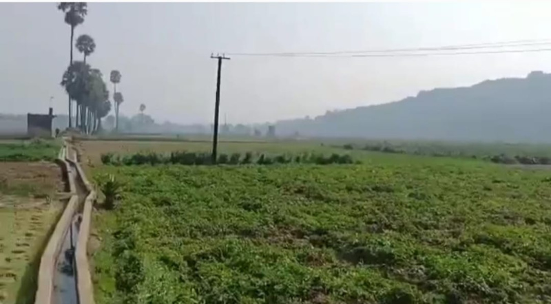  Residential Plot 3 Dismil for Sale in Badi Pahadi, Biharsharif, Nalanda