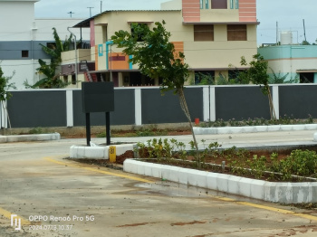  Residential Plot for Sale in Panjapur, Tiruchirappalli