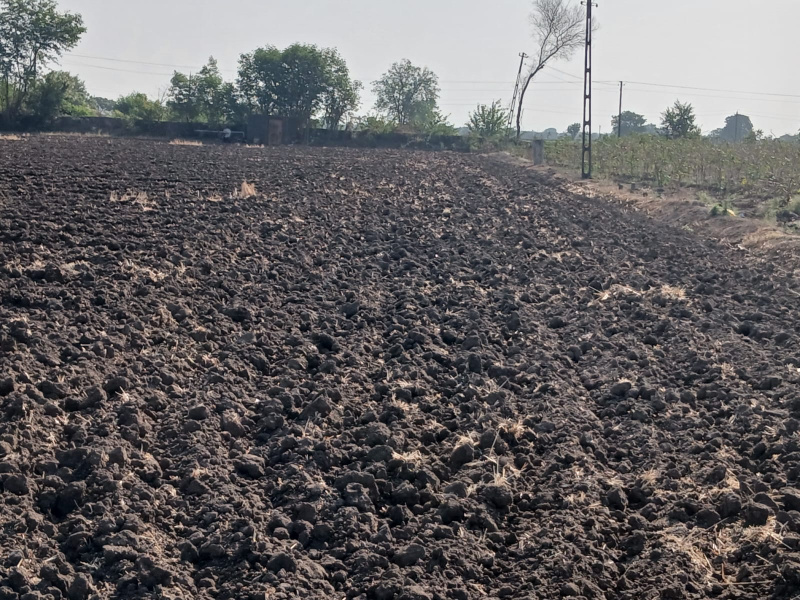  5 Bigha Agricultural/Farm Land for Sale in Upleta, Rajkot