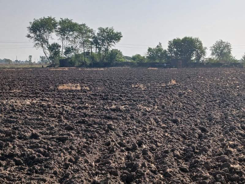  5 Bigha Agricultural/Farm Land for Sale in Upleta, Rajkot