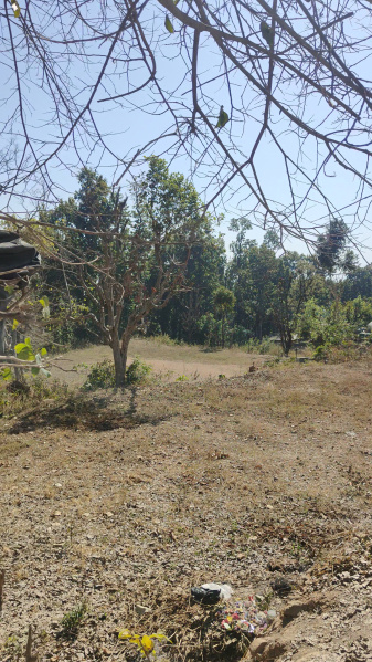  Agricultural Land 3 Bigha for Sale in Narendra Nagar, Rishikesh