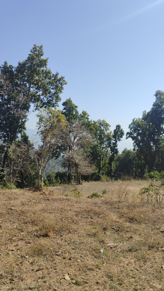  Agricultural Land 3 Bigha for Sale in Narendra Nagar, Rishikesh