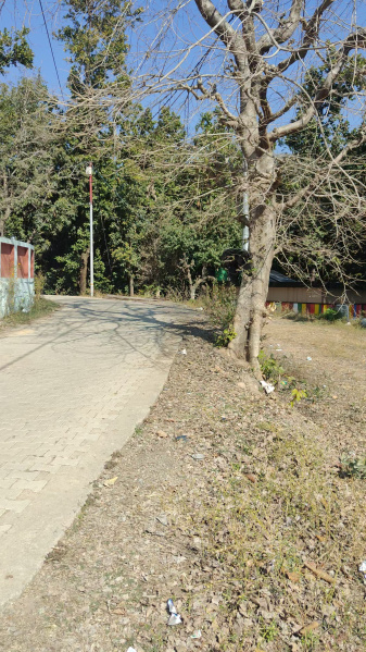  Agricultural Land 3 Bigha for Sale in Narendra Nagar, Rishikesh