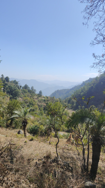  Agricultural Land 4 Bigha for Sale in Narendra Nagar, Rishikesh