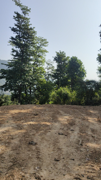  Residential Plot 450 Sq. Yards for Sale in Narendra Nagar, Rishikesh