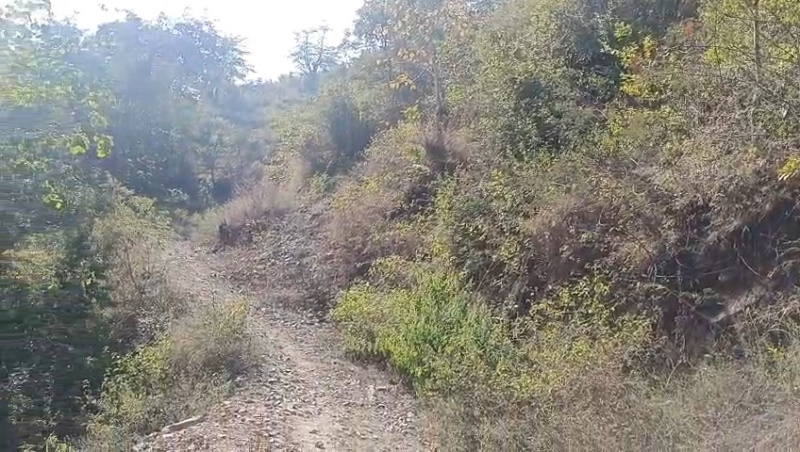  Agricultural Land 52000 Sq.ft. for Sale in Neelkanth Road, Rishikesh