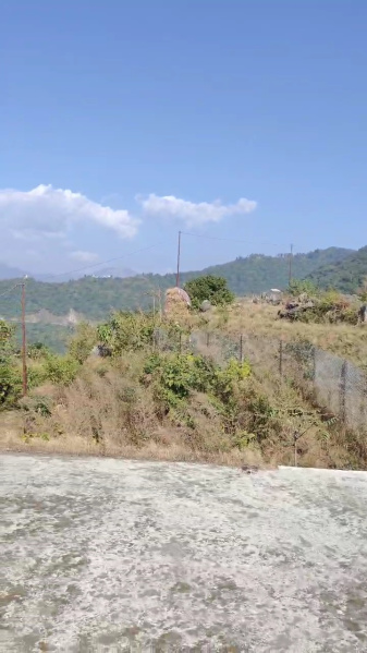 Agricultural Land 2400 Sq. Yards for Sale in Narendra Nagar, Rishikesh