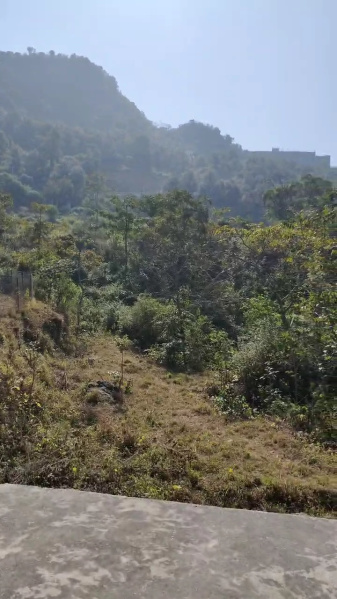  Agricultural Land 2400 Sq. Yards for Sale in Narendra Nagar, Rishikesh