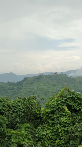  Agricultural Land 56000 Sq.ft. for Sale in Neelkanth Road, Rishikesh