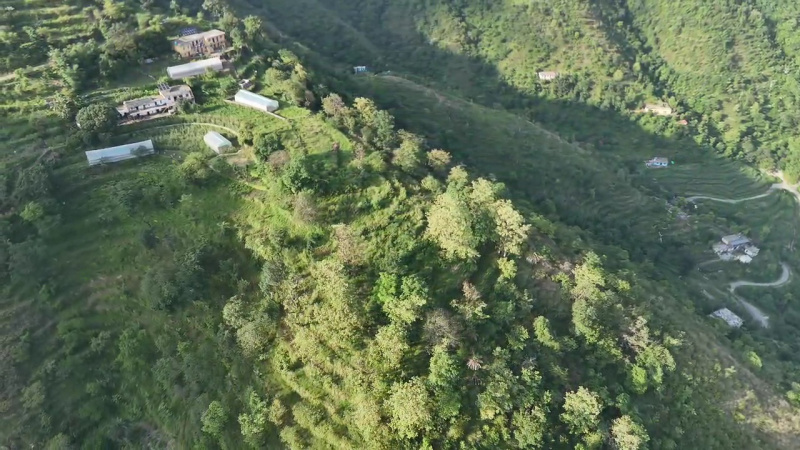  Agricultural Land 140400 Sq.ft. for Sale in Narendra Nagar, Rishikesh