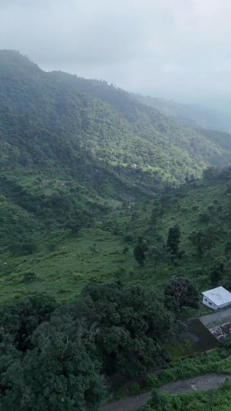  Agricultural Land 6000 Sq. Yards for Sale in Neelkanth Road, Rishikesh