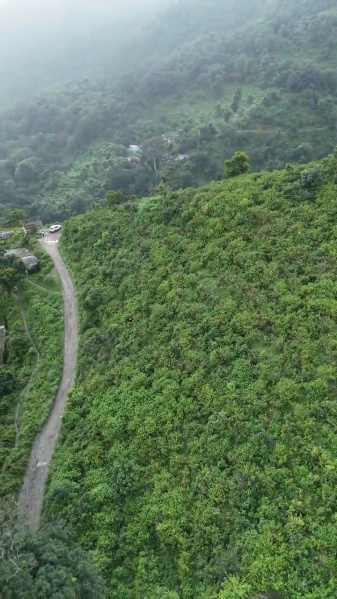  Agricultural Land 6000 Sq. Yards for Sale in Neelkanth Road, Rishikesh