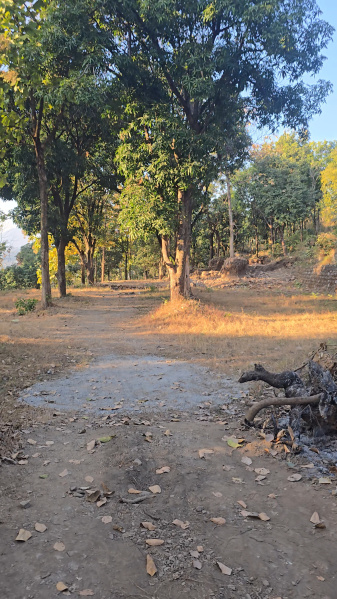  3600 Sq. Yards Agricultural/Farm Land for Sale in Thano, Dehradun