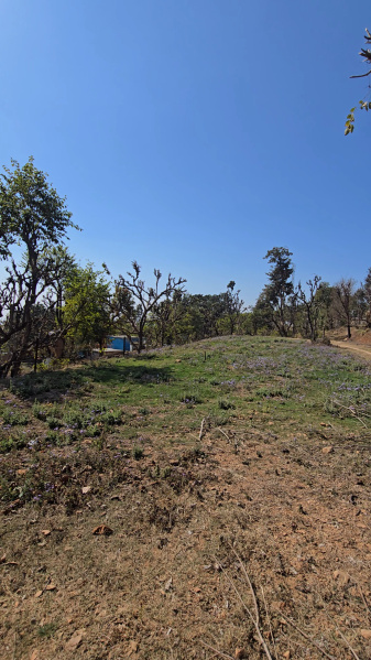  3600 Sq. Yards Agricultural/Farm Land for Sale in Narendra Nagar, Rishikesh