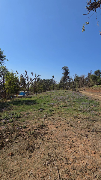  3600 Sq. Yards Agricultural/Farm Land for Sale in Narendra Nagar, Rishikesh