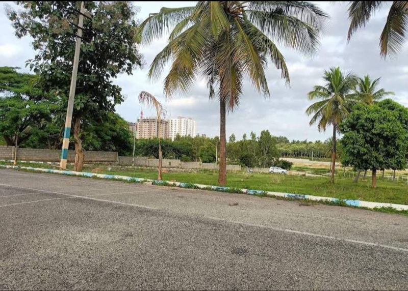  Residential Plot 1200 Sq.ft. for Sale in Bidadi, Bangalore