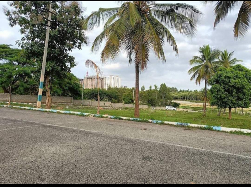  Residential Plot 1200 Sq.ft. for Sale in Bidadi, Bangalore