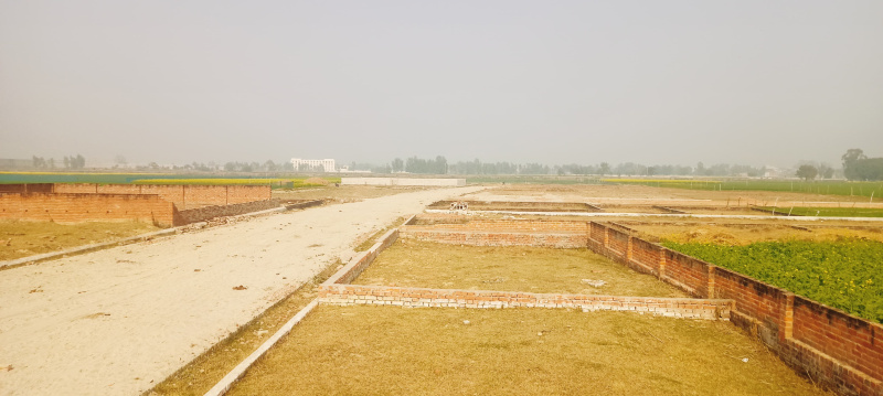  Residential Plot 1250 Sq.ft. for Sale in Sultanpur Road, Lucknow