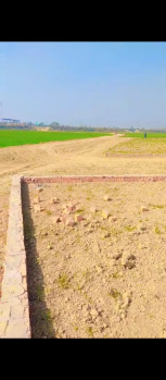  Residential Plot for Sale in Maniram, Gorakhpur