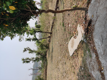  Residential Plot for Sale in Thano, Dehradun