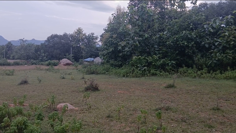 1 RK Farm House 75 Guntha for Sale in Bantala, Angul