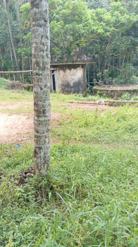  Residential Plot for Sale in Pappinisseri, Kannur