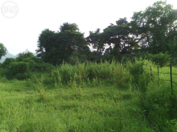  Residential Plot for Sale in Kalyani, Nadia