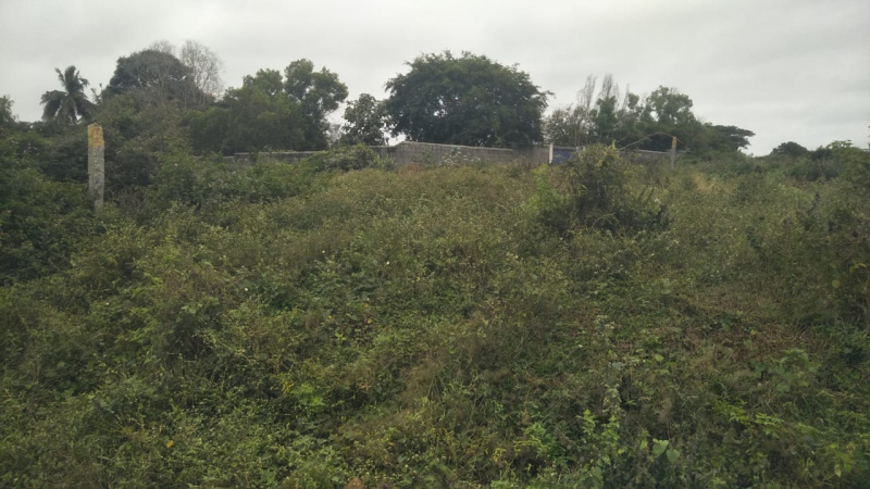  Commercial Land 3 Acre for Sale in Shoolagiri, Krishnagiri