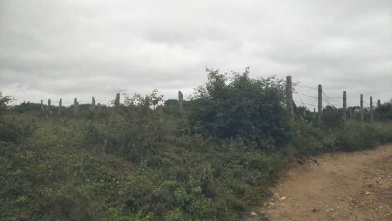  Commercial Land 3 Acre for Sale in Shoolagiri, Krishnagiri