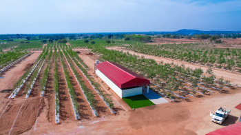  Residential Plot for Sale in Narayankhed, Sangareddy