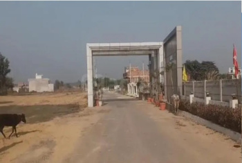  Residential Plot for Sale in Gosainganj, Lucknow