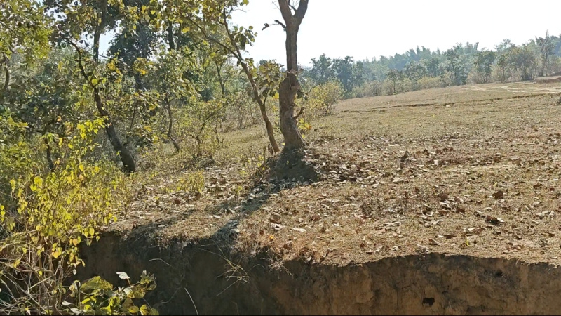  Agricultural Land 5 Acre for Sale in Baihar, Balaghat