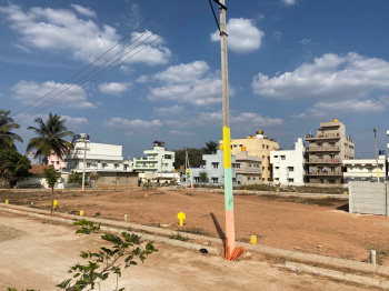  Residential Plot for Sale in Yelahanka, Bangalore