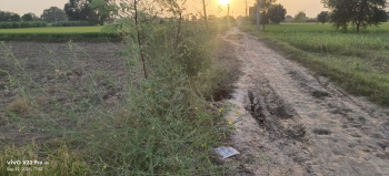  Agricultural Land for Sale in Gohana, Sonipat
