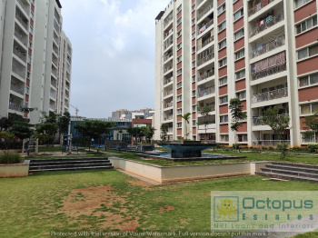 3 BHK Flat for Rent in Whitefield, Bangalore