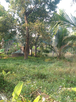  Residential Plot for Sale in Vadakara, Kozhikode