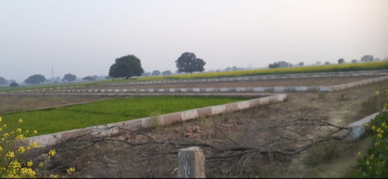  Residential Plot for Sale in Rooma, Kanpur