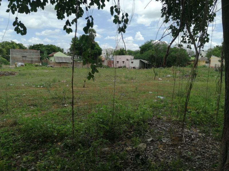  Agricultural Land 140 Cent for Sale in Karuppayurani, Madurai